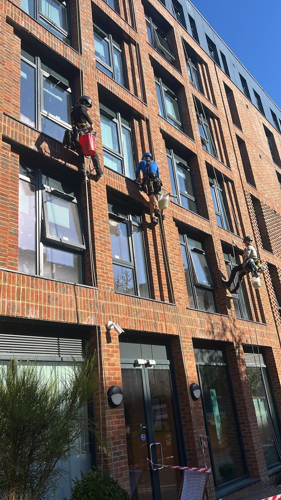 abseiling window cleaners
